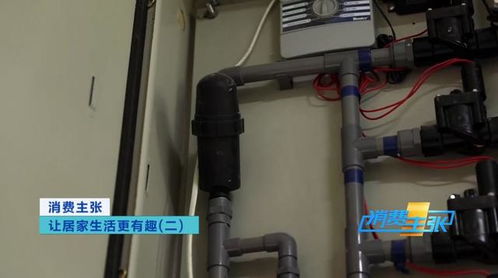紙上種菜、海綿栽花 科技讓在家種菜更輕松，樓宇智能化工程賦能未來